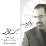 دانلود آهنگ جدید حسین سعیدی پور به نام دیوانه بی رحم
